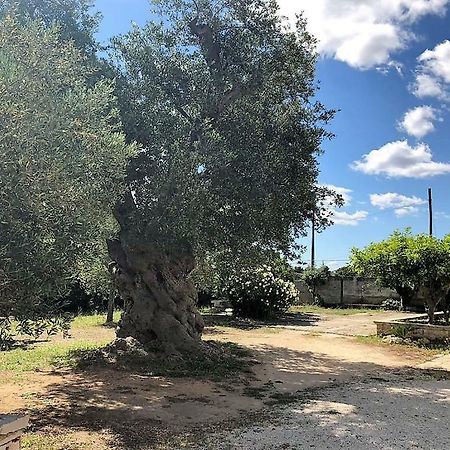 בית הארחה קרוביניו 	Le Stanze Di Casa Polinisso מראה חיצוני תמונה