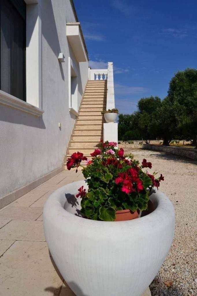 בית הארחה קרוביניו 	Le Stanze Di Casa Polinisso מראה חיצוני תמונה