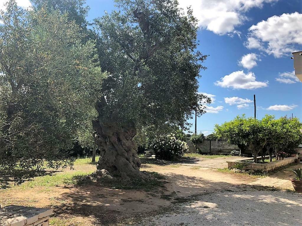 בית הארחה קרוביניו 	Le Stanze Di Casa Polinisso מראה חיצוני תמונה